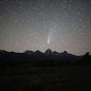 Meet your Posher, Brandy